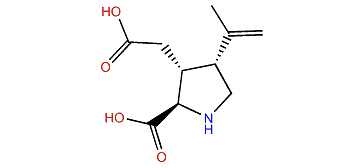 (2R,3R,4R)-3-(Carboxymethyl)-4-prop-1-en-2-ylpyrrolidine-2-carboxylic acid